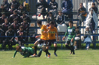 2019年度 HKFA第1回 北海道サッカー選手権大会